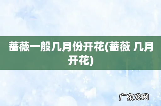 蔷薇 几月开花 蔷薇一般几月份开花