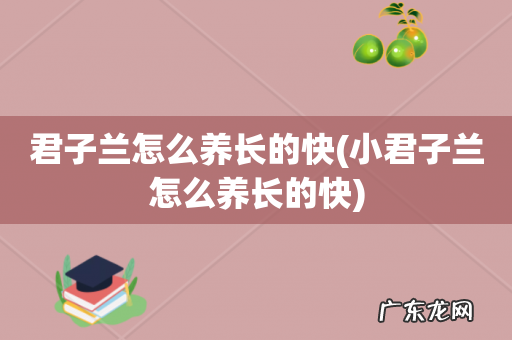 小君子兰怎么养长的快 君子兰怎么养长的快