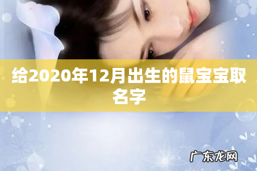 给2020年12月出生的鼠宝宝取名字