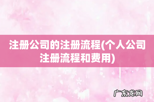 个人公司注册流程和费用 注册公司的注册流程