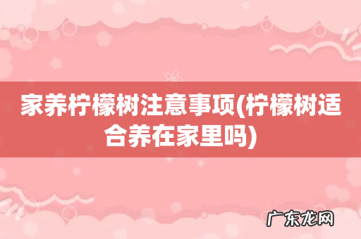 柠檬树适合养在家里吗 家养柠檬树注意事项
