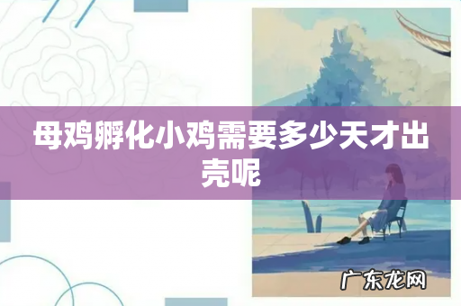 母鸡孵化小鸡需要多少天才出壳呢