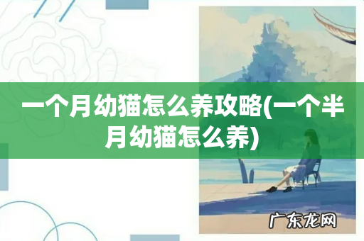 一个半月幼猫怎么养 一个月幼猫怎么养攻略