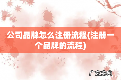 注册一个品牌的流程 公司品牌怎么注册流程