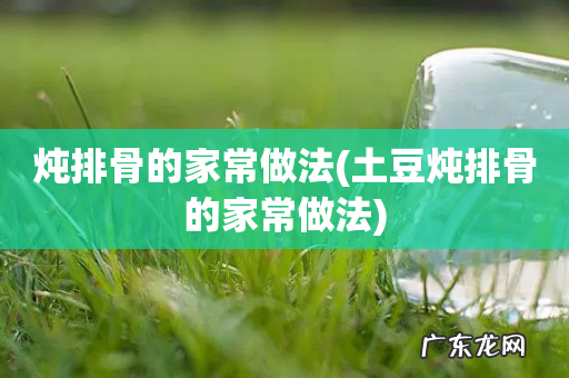 土豆炖排骨的家常做法 炖排骨的家常做法