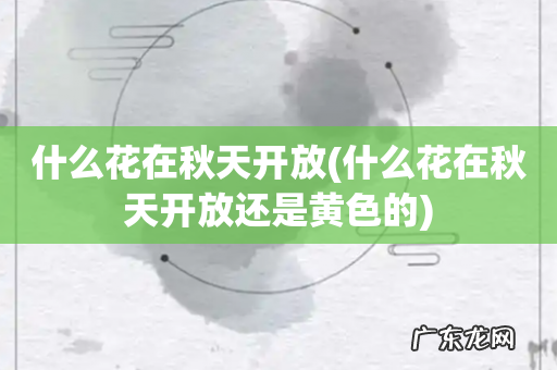 什么花在秋天开放还是黄色的 什么花在秋天开放