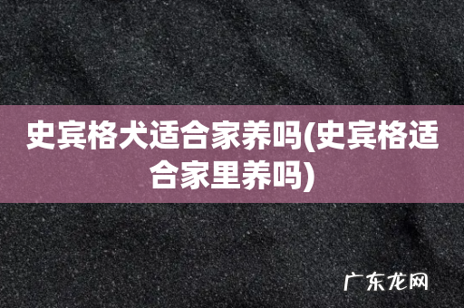 史宾格适合家里养吗 史宾格犬适合家养吗