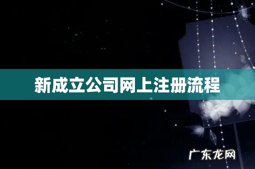 新成立公司网上注册流程