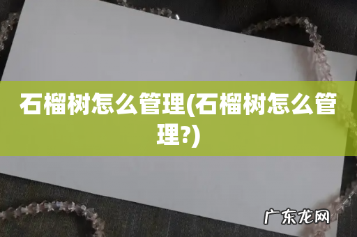 石榴树怎么管理? 石榴树怎么管理