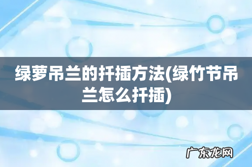 绿竹节吊兰怎么扦插 绿萝吊兰的扦插方法