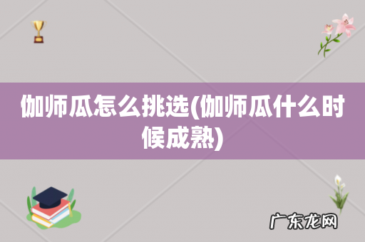 伽师瓜什么时候成熟 伽师瓜怎么挑选