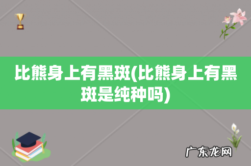 比熊身上有黑斑是纯种吗 比熊身上有黑斑