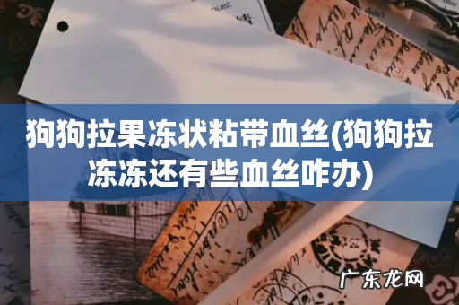 狗狗拉冻冻还有些血丝咋办 狗狗拉果冻状粘带血丝
