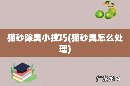 猫砂臭怎么处理 猫砂除臭小技巧