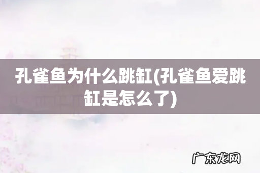 孔雀鱼爱跳缸是怎么了 孔雀鱼为什么跳缸