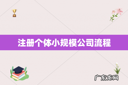 注册个体小规模公司流程