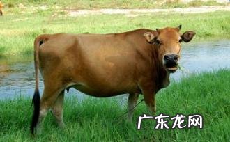 找风水宝地的方法 怎么样找风水宝地