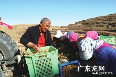 兰州和平和永登哪个区发展好 永登县风水大师