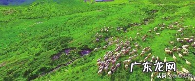 兰州和平和永登哪个区发展好 永登县风水大师