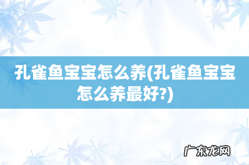 孔雀鱼宝宝怎么养最好? 孔雀鱼宝宝怎么养