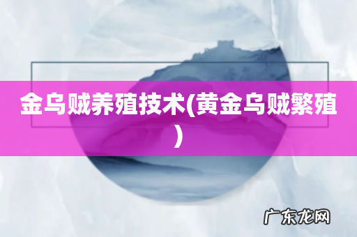 黄金乌贼繁殖 金乌贼养殖技术