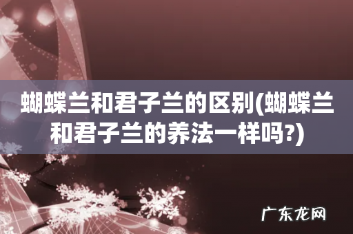 蝴蝶兰和君子兰的养法一样吗? 蝴蝶兰和君子兰的区别