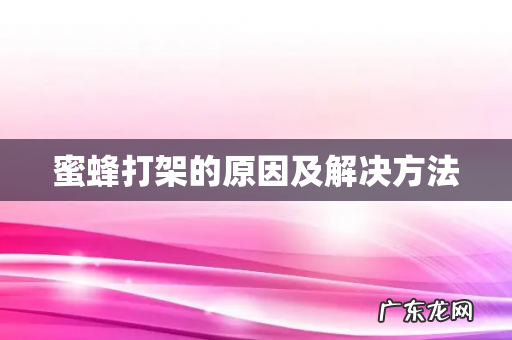 蜜蜂打架的原因及解决方法