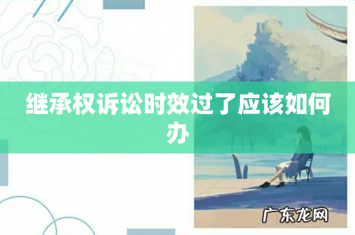 继承权诉讼时效过了应该如何办