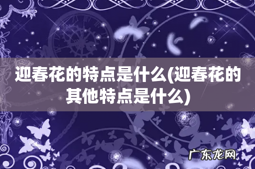 迎春花的其他特点是什么 迎春花的特点是什么