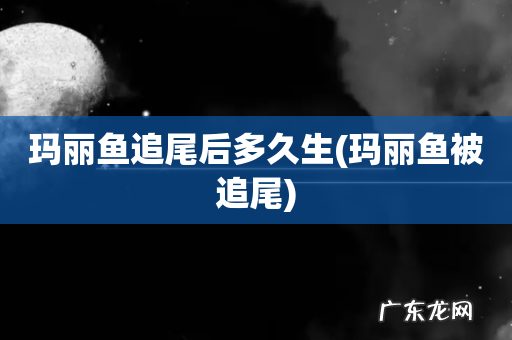 玛丽鱼被追尾 玛丽鱼追尾后多久生