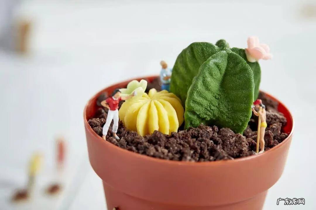 广州正规烘焙学校 广州甜品培训学