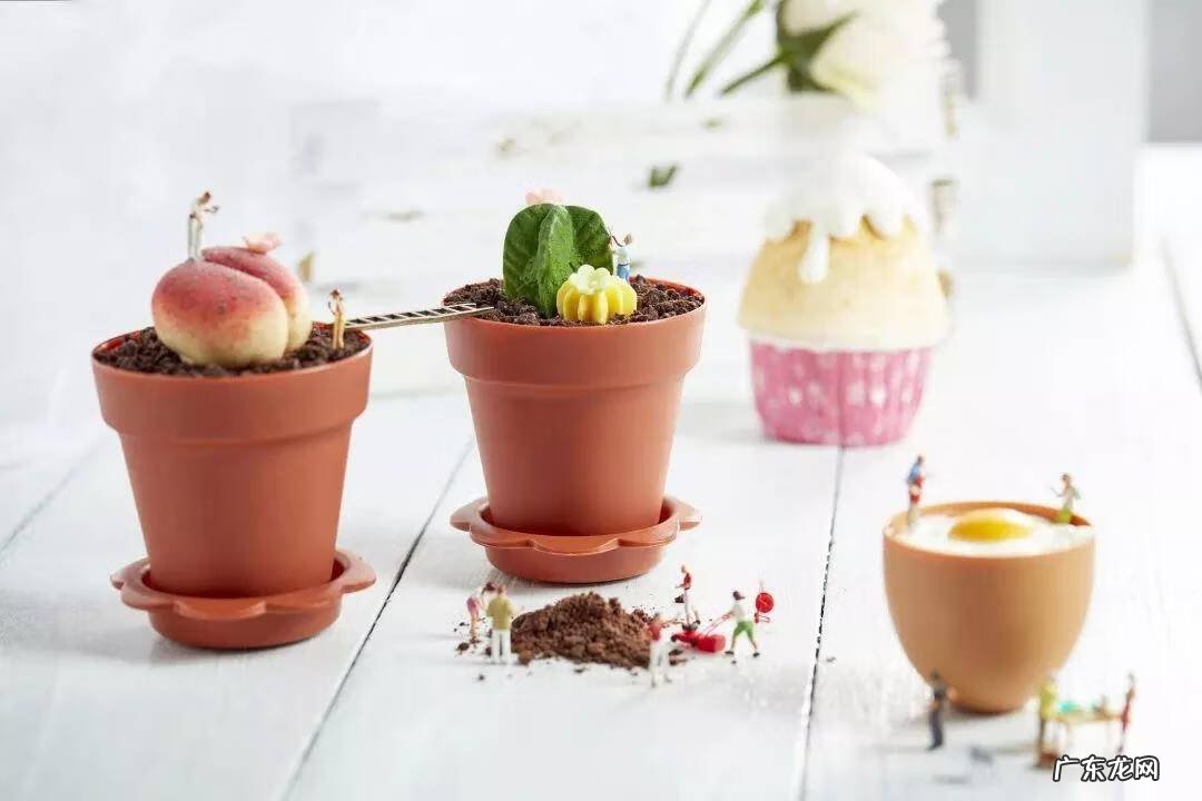 广州正规烘焙学校 广州甜品培训学