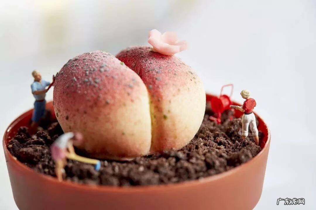 广州正规烘焙学校 广州甜品培训学