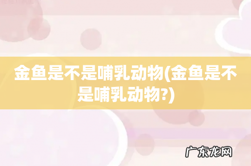 金鱼是不是哺乳动物? 金鱼是不是哺乳动物