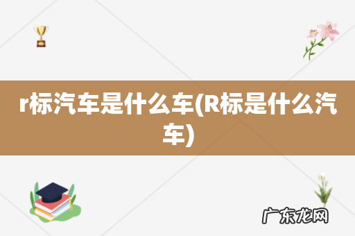 R标是什么汽车 r标汽车是什么车