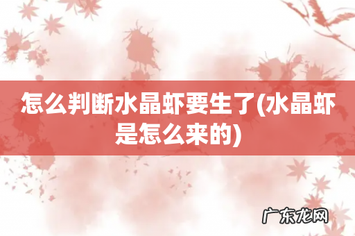 水晶虾是怎么来的 怎么判断水晶虾要生了