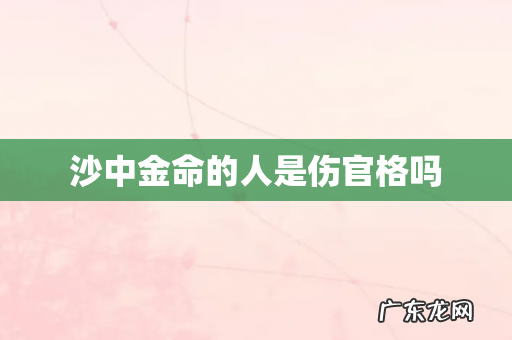 沙中金命的人是伤官格吗