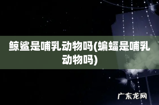 蝙蝠是哺乳动物吗 鲸鲨是哺乳动物吗