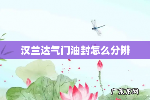 汉兰达气门油封怎么分辨