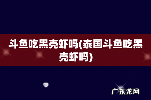 泰国斗鱼吃黑壳虾吗 斗鱼吃黑壳虾吗