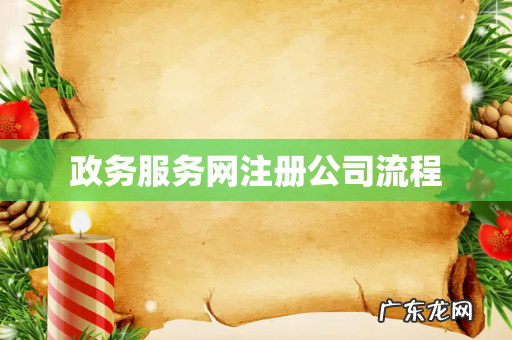 政务服务网注册公司流程