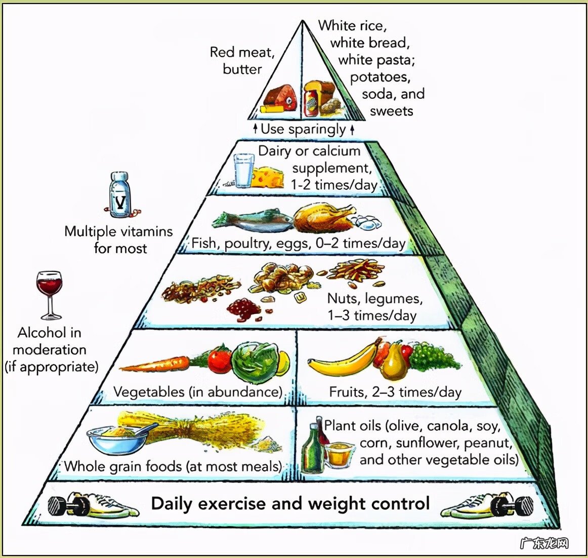 保护眼睛的目的和意义 怎样保护眼睛的最好方法