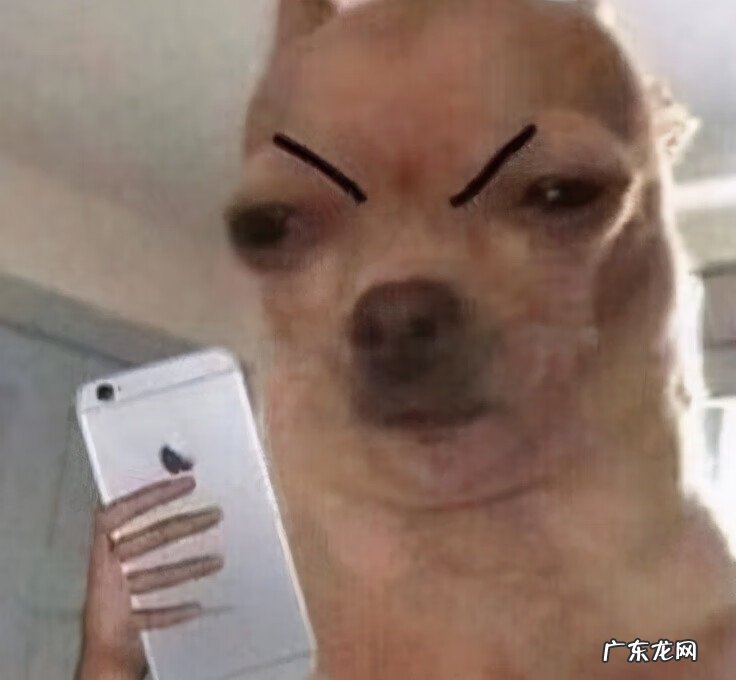 保护眼睛的目的和意义 怎样保护眼睛的最好方法