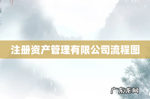 注册资产管理有限公司流程图