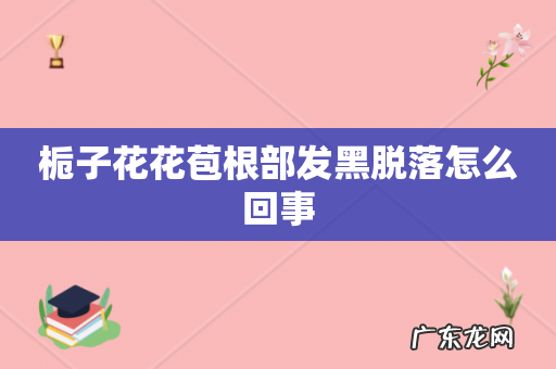 栀子花花苞根部发黑脱落怎么回事