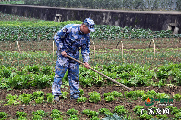形容乱石岗 什么是乱石岗
