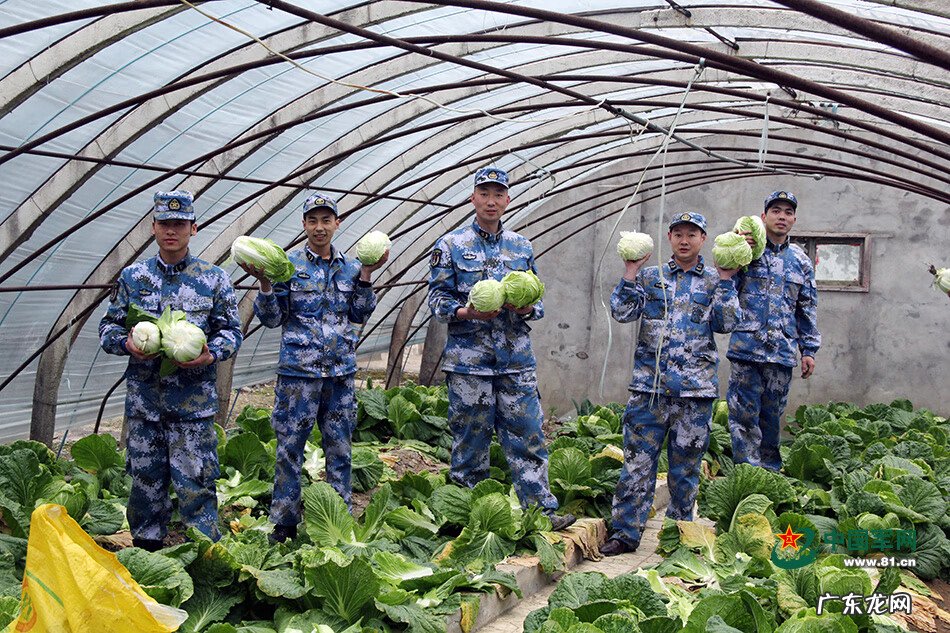 形容乱石岗 什么是乱石岗