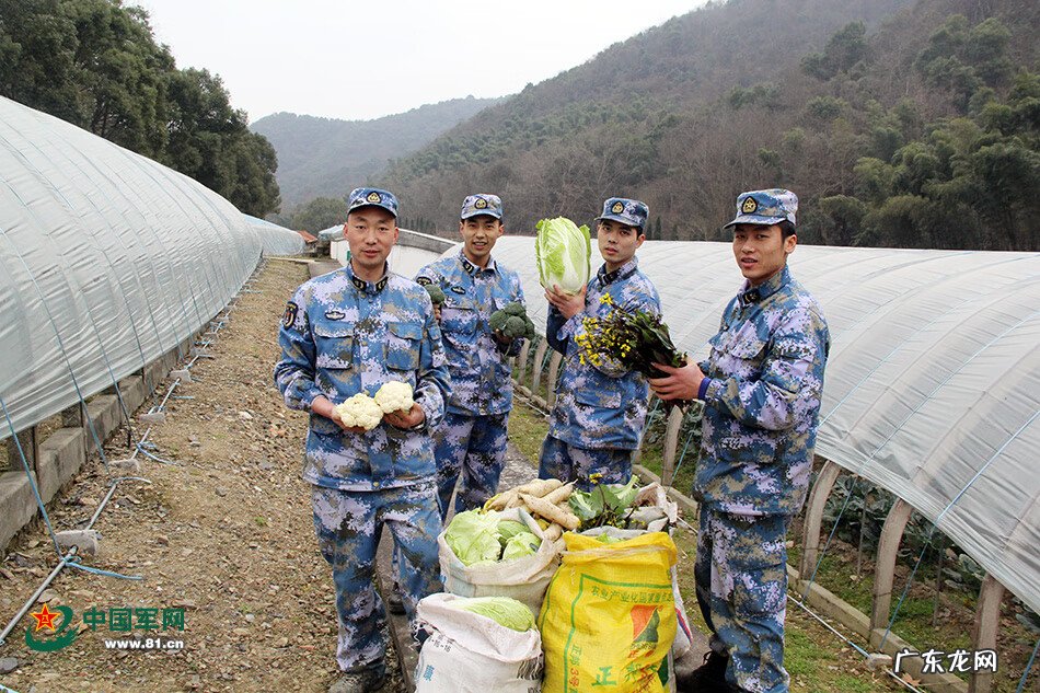 形容乱石岗 什么是乱石岗