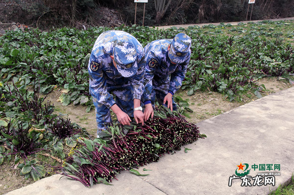 形容乱石岗 什么是乱石岗