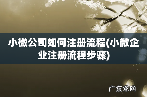 小微企业注册流程步骤 小微公司如何注册流程